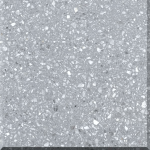 MSK231