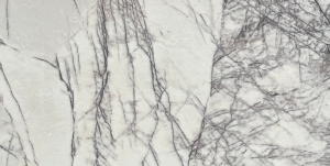 Plum Snow